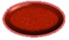 364 Ruby Red - Oracal 5600
